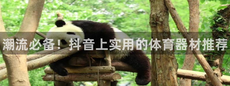 耀世平台皮皮虾怎么样：潮流必备！抖音上实用的体育器材