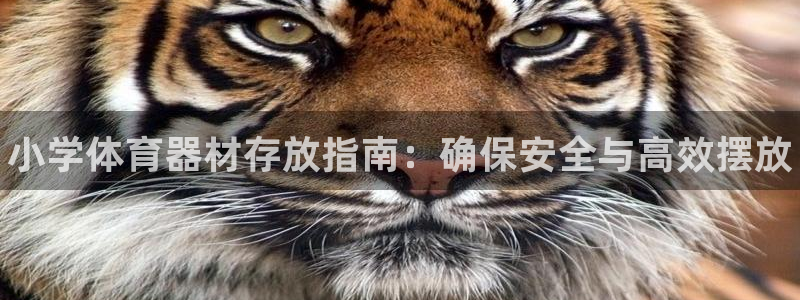 耀世平台木 5o69I7：小学体育器材存放指南：确保安全与高