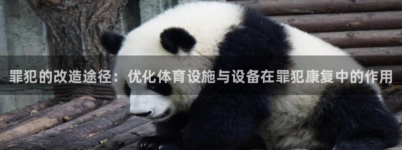 耀世平台招商怎么样：罪犯的改造途径：优化体育设施与设备在罪犯